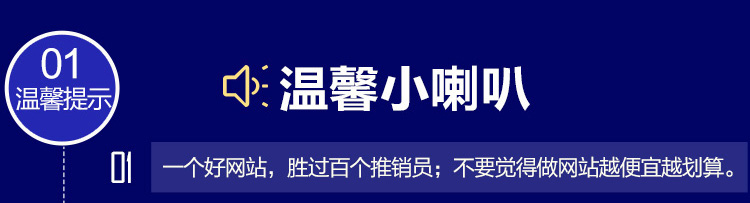 500008IT科技软件智能方案